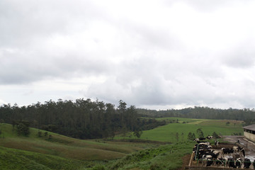 landscape in the mountains