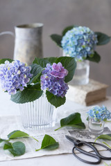 紫陽花の生け花