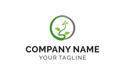 logo design growing leaf bloom