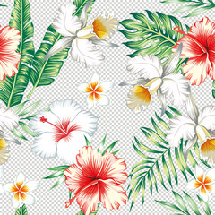 Plumeria hibiscus flowers green leaves seamless various backgrou