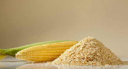 Corn mash for brewing beer with an open ear of fresh ripe corn