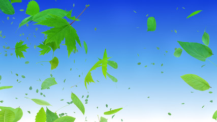 Fototapeta na wymiar Green Flying leaves leaf 3D illustration background.