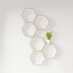 Hexagon shelf books and plant decoration interior design. Longitudinal