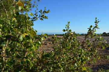 Paisajes montañas de Alicante España