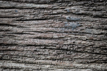 Fototapeta premium Embossed texture of the brown bark.Tree bark texture. Seamless bark tree texture. texture of bark wood use as natural background