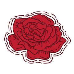 Vector Flower Illustration Assets template design