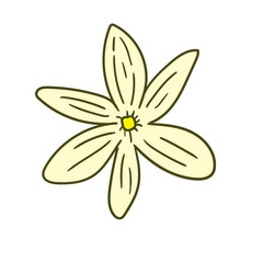Vector Flower Illustration Assets template design