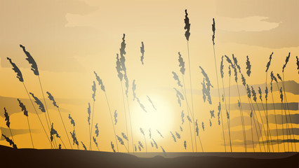 Illustration graphic of the sun rising from the horizon through fields of grass flowers. Field of grass during sunset.