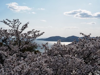 万葉岬春の眺望