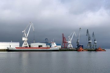 Fototapeta premium Industrial harbor cranes in the seaport