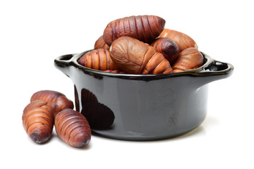 chrysalis silkworm ,silk worm cocoon on white background 