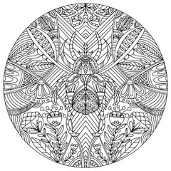 hand drawn mandala decorated with plants and insect in the middle for coloring, isolated, vector, coloring book,