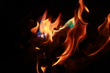 fire in the firewood . color of flame