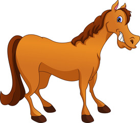 Fototapeta na wymiar cute horse cartoon on a white background