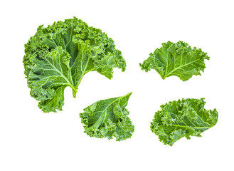 Creative layout made of kale leaves. Flat lay. Raw Kale salad isolated on white background. Food concept.. - 350252522