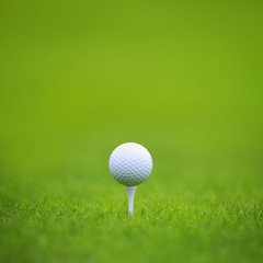 Golf ball on green grass background