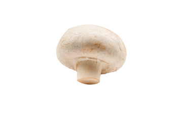 Champignon mushroom isolated on white background.