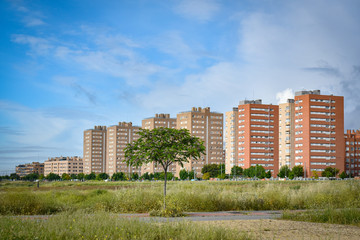 landscape with tree and buildings in the background with sky with clouds