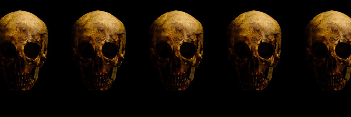 Obraz premium prawdziwa czaszka jest izolowana na czarnym tle z teksturowanymi kośćmi