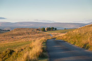 A chapel and sheep on a Welsh country road in the Brecon Beacons, South Wales, UK.
