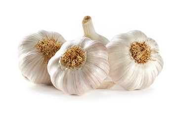Fresh garlic on white space 