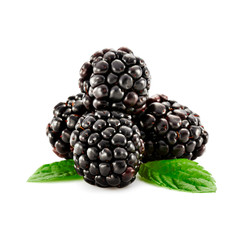 Blackberry on white space and sunny warm day 