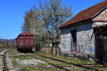 cherries blossomed next to the house, the railroad and the wagon
