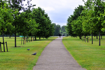 alley in the park
