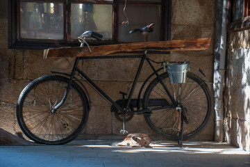 bicycle in the street