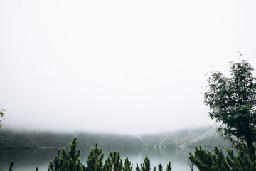 Beautiful view of the lake in the mountains in foggy weather.