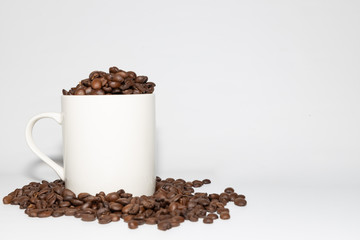 coffee beans and white background