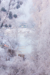 Kyiv city in frost at morning