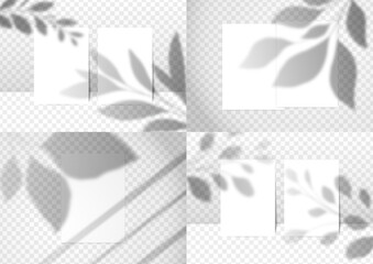 Elegant cards mockup set with floral & window overlay shadows. Editable empty stationery card vector scene with flowers background