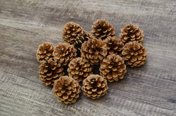 Pine cone flowers on wooden background