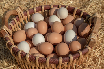 Huevos ecológicos blancos y negros en una cesta de mimbre de gallinas criadas en libertad en una granja
