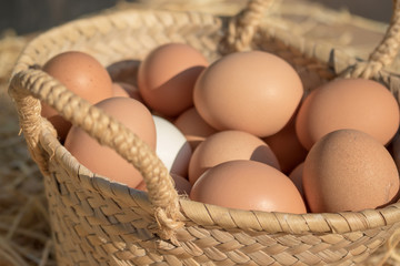 huevos ecológicos en una cesta de mimbre 