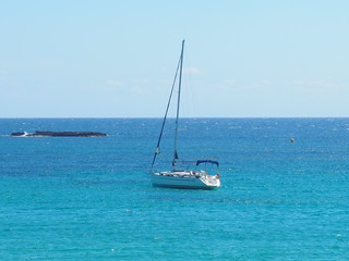 Obraz premium OLYMPUS DIGITAL CAMERA