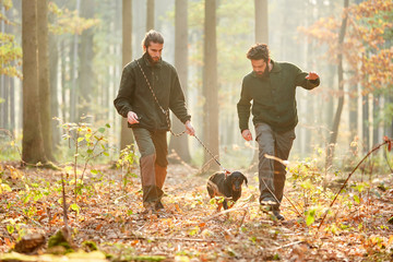 Zwei Jäger mit einer Bracke auf Treibjagd im Wald - obrazy, fototapety, plakaty