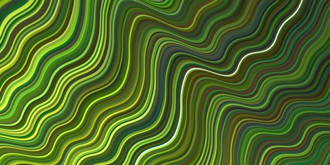 Light Green vector layout with curved lines.