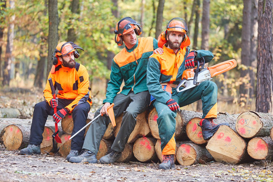 Gruppe Forstwirte bei Waldarbeit im Wald