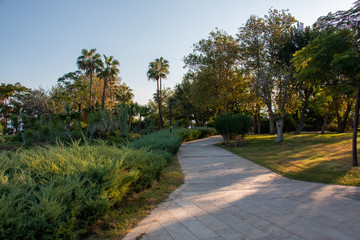 Fototapeta na wymiar Path in the park Antalya