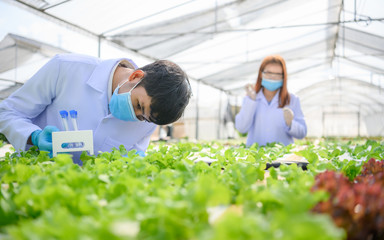 Asian scientists are investigating the pathogens in vegetables,New normal Clean vegetables.