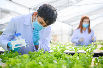 Asian scientists are investigating the pathogens in vegetables,New normal Clean vegetables.