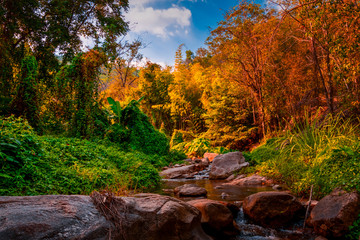 Beautiful colorful autumn trees and river streams with large rocks Namtok Kaew Chan, Ratchaburi, Thailand.