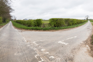 road fork of a rural road