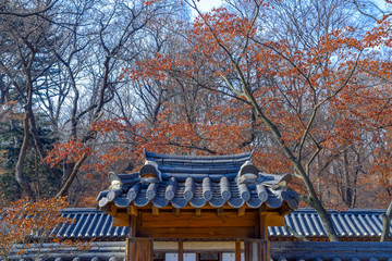 Fototapeta premium Secret Garden at Changdeokgung Palace