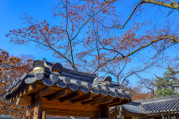 Secret Garden at Changdeokgung Palace