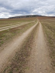 Dirt farm road in the field