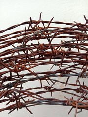 Old barbed wire with rust on a white background