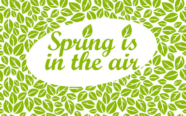 Hello spring vector beauty of nature image with green leaves pattern in background and lettering, floral pattern is seamless.